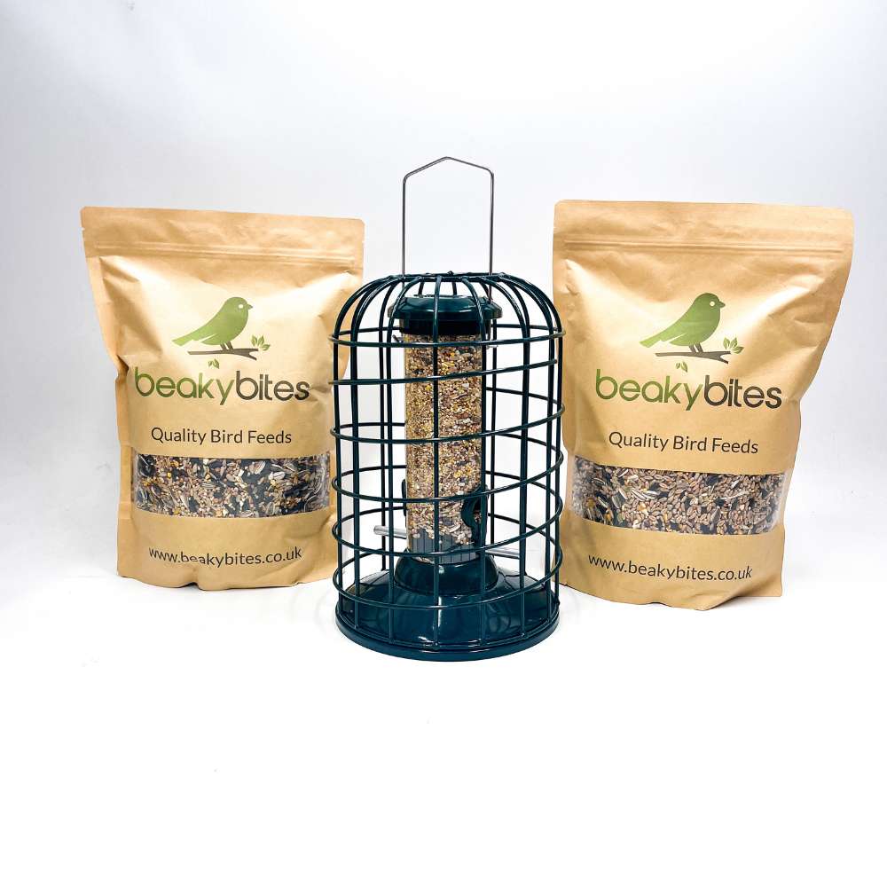 Guardian Seed Feeder with Two Free Bags of Bird Feed